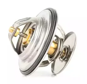 BSG 60-125-014 BSG Термостат, охлаждающая жидкость